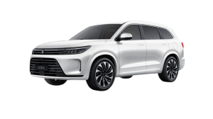 Эва-коврики на Seres Aito M7 2022- 7мест